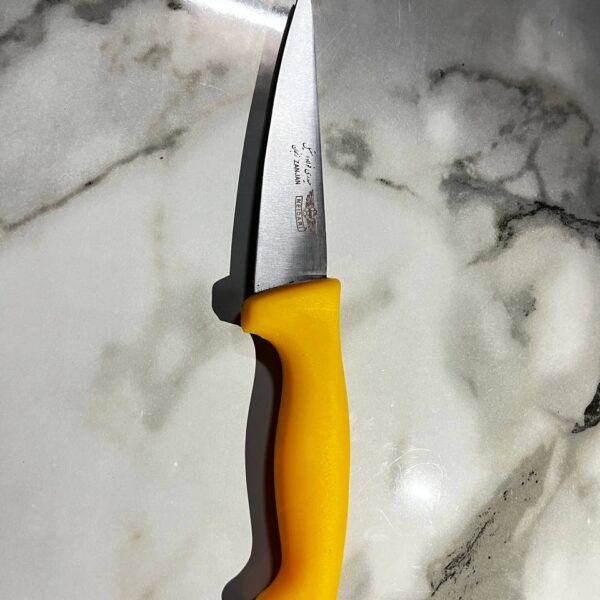 چاقو زنجان بیخصی